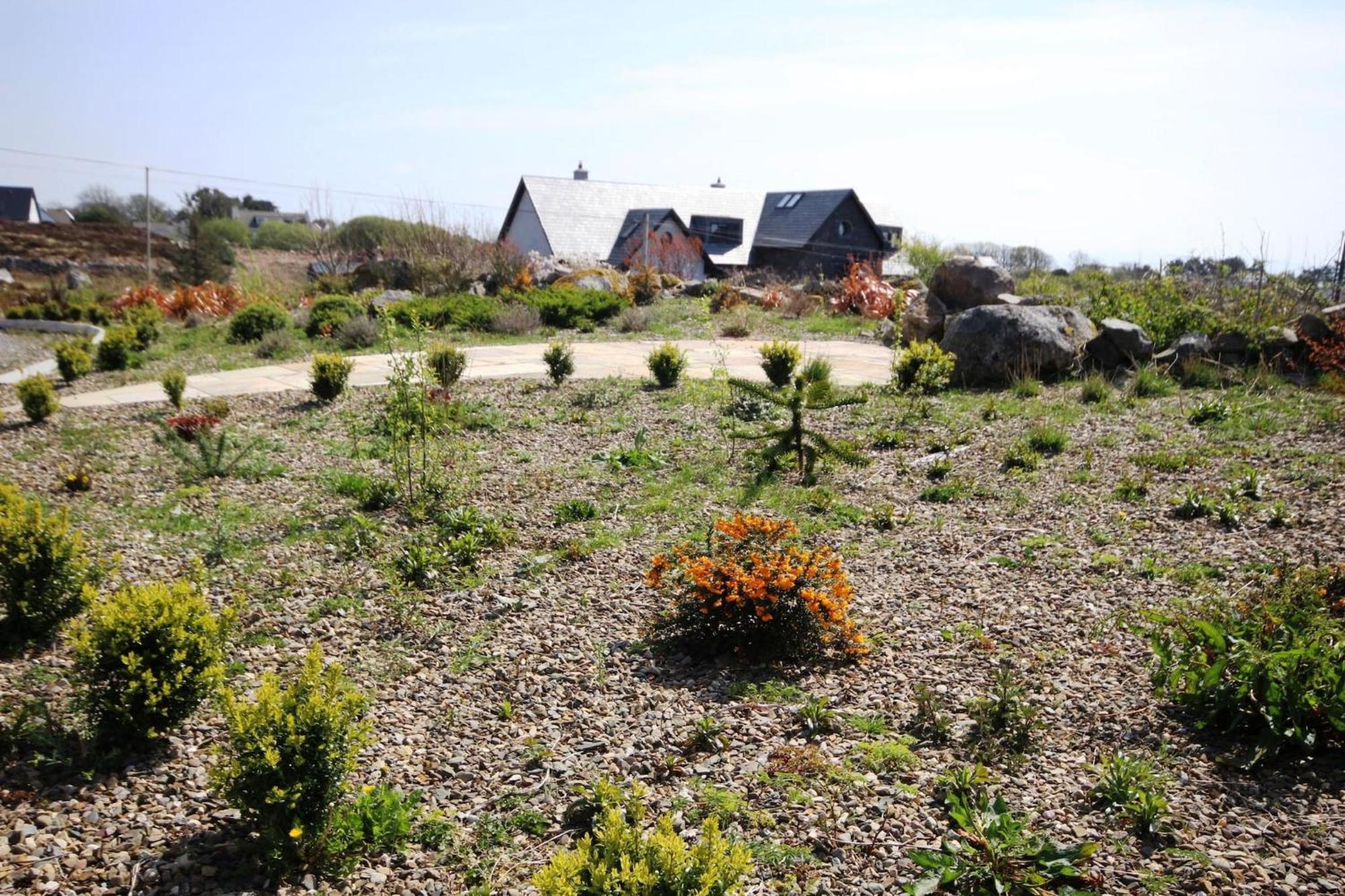 The Uplands Villa Spiddal Eksteriør billede